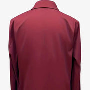 Vinita | Collared V-Neck Sheen Blouse