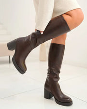 Rhosyn high heeled boots in brown